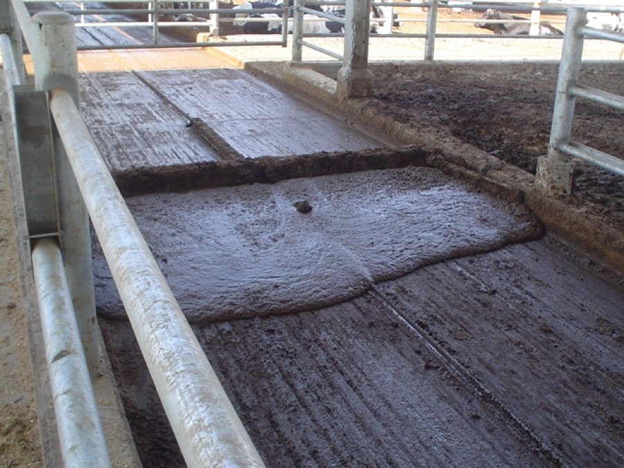 Manure intake — 160 tons processed every day